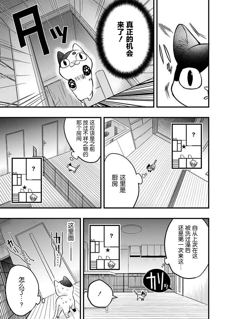 被遗弃的小猫咪与原黑道漫画,第04话2图