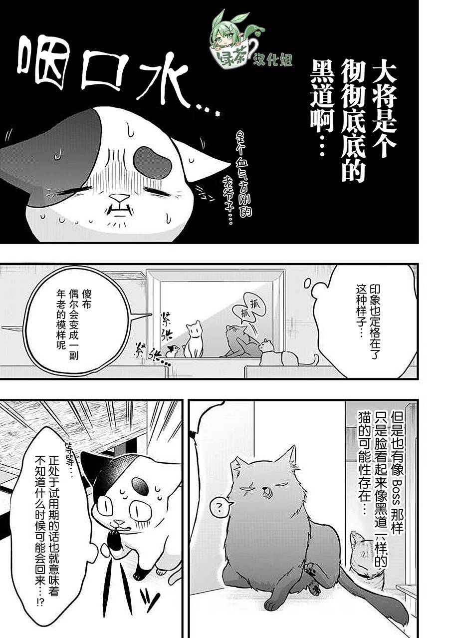 被遗弃的小猫咪与原黑道漫画,第20话1图