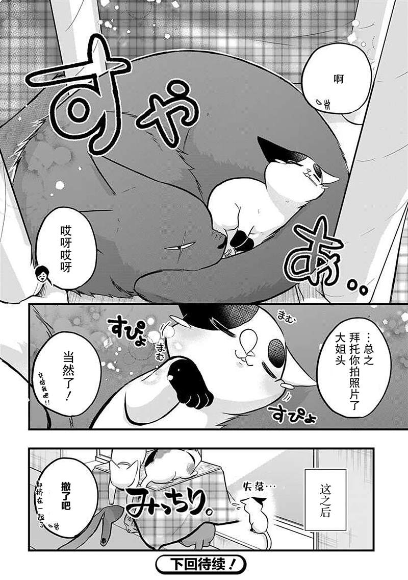 被遗弃的小猫咪与原黑道漫画,第33话2图