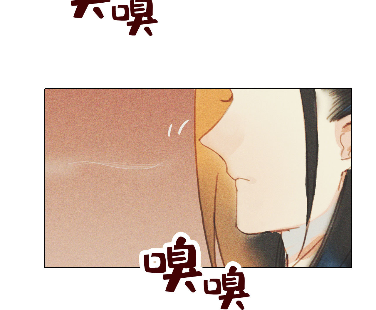 将军漫画,第十章 那方面的爱好1图