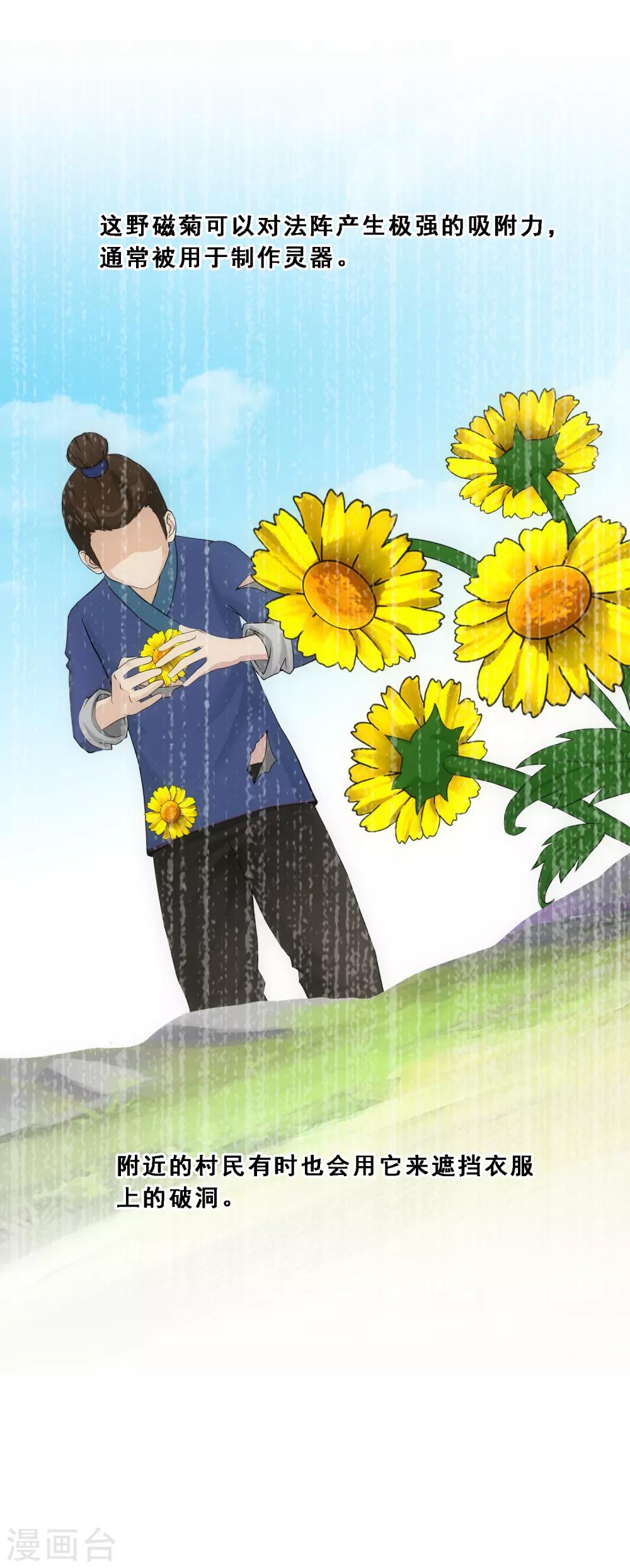 解离妖圣漫画,第163话 野磁菊2图
