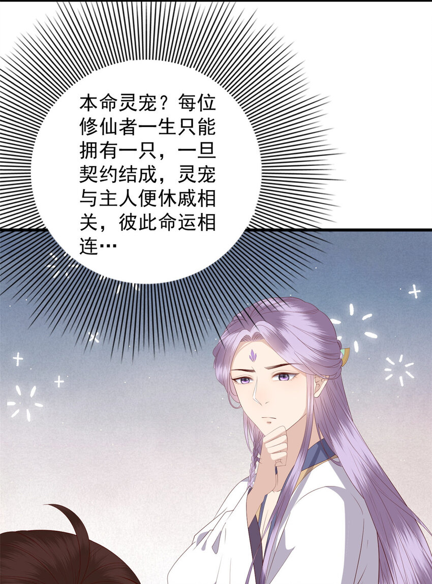 这个女配惹不起漫画,102 本命灵宠1图