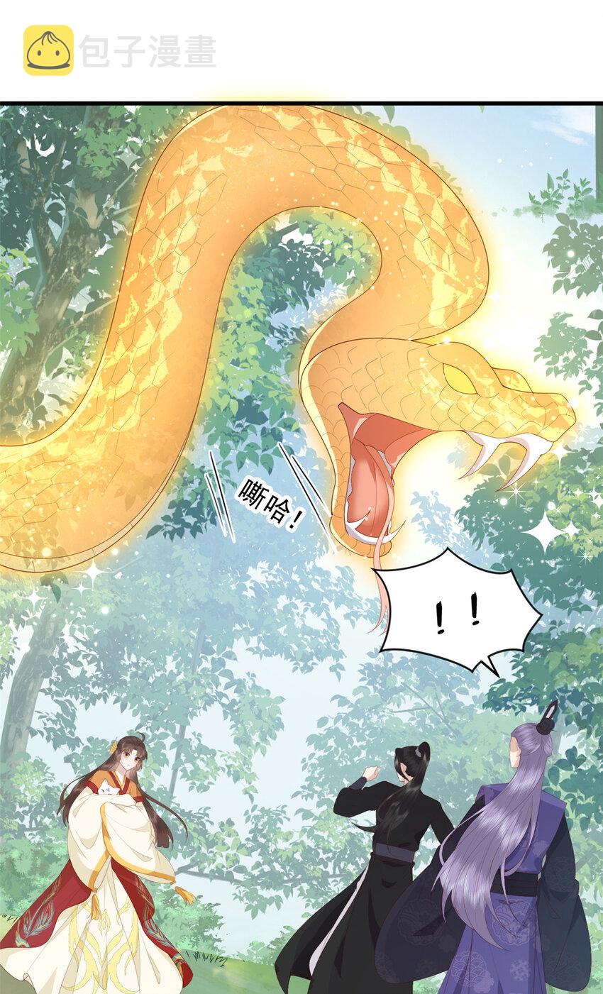 这个女配惹不起漫画,101 不敢要的宠物2图