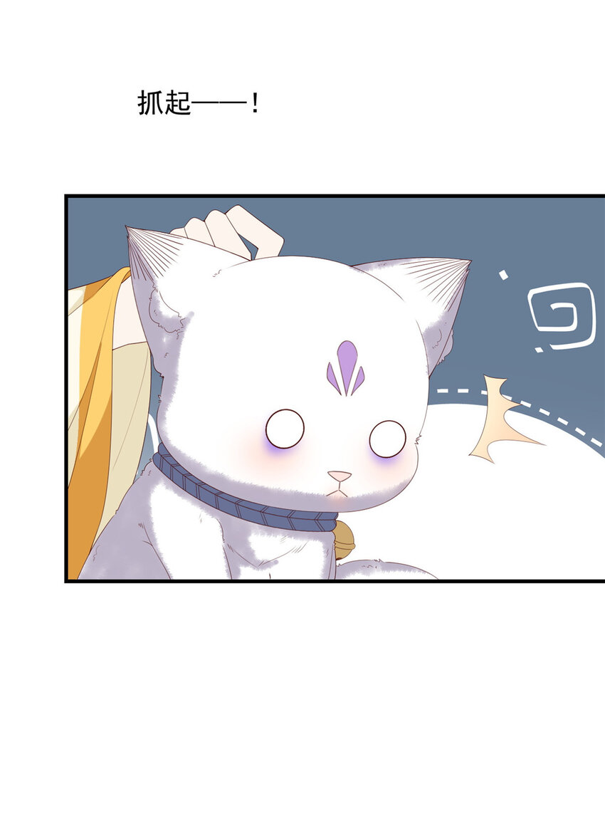 这个女配惹不起漫画,101 不敢要的宠物1图