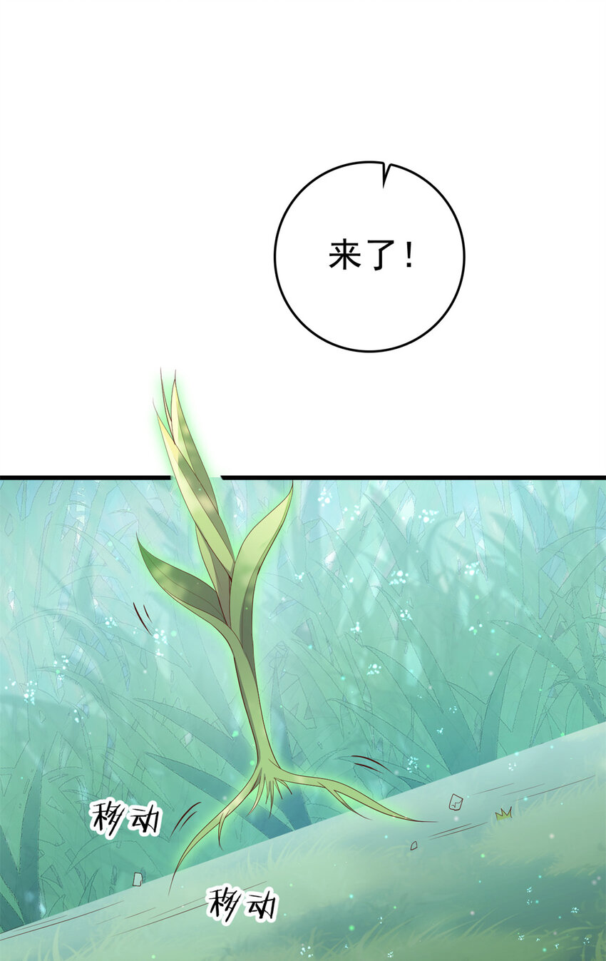 这个女配惹不起漫画,050 月溪谷仙草2图
