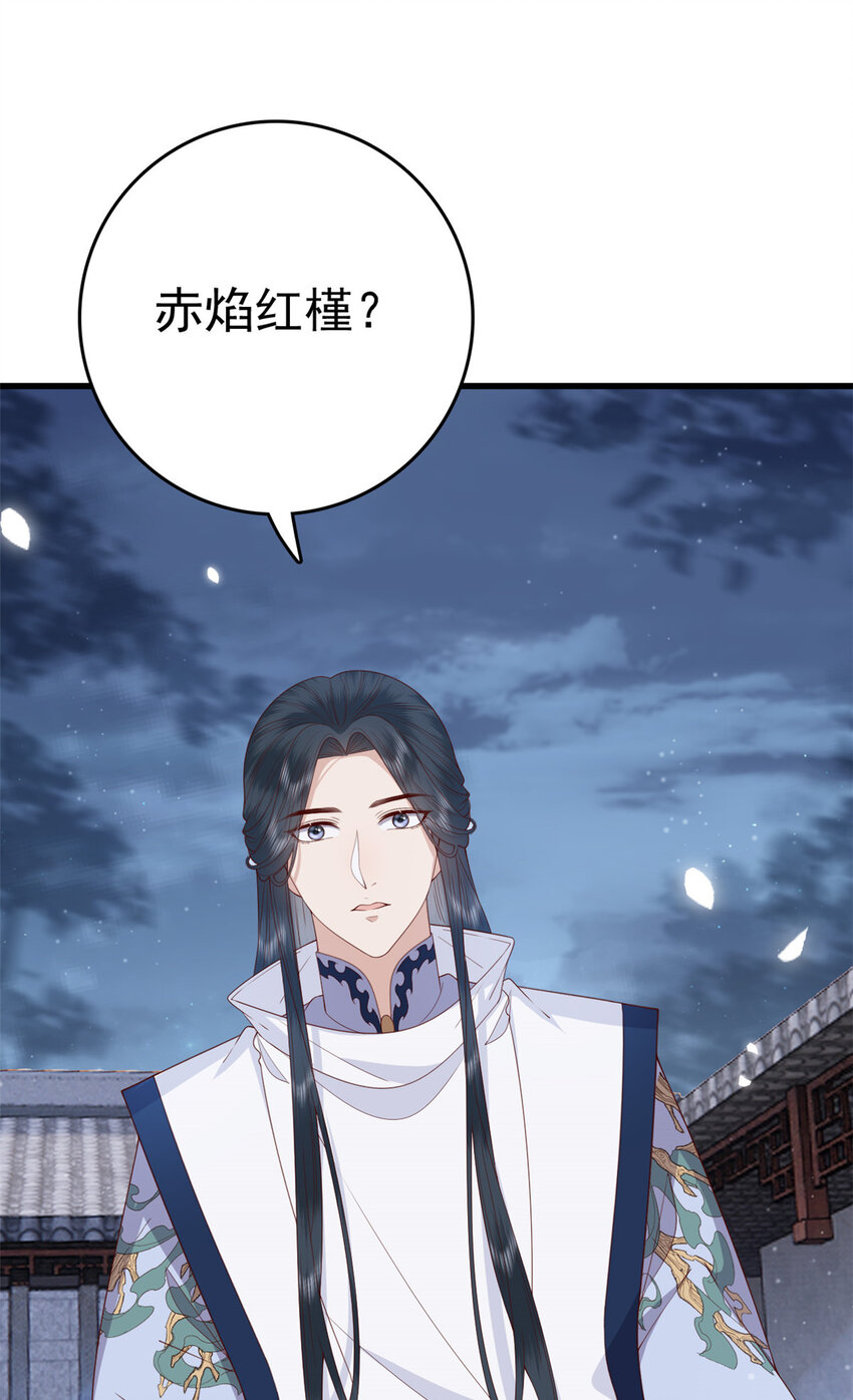 这个女配惹不起漫画,051 赤焰红槿2图