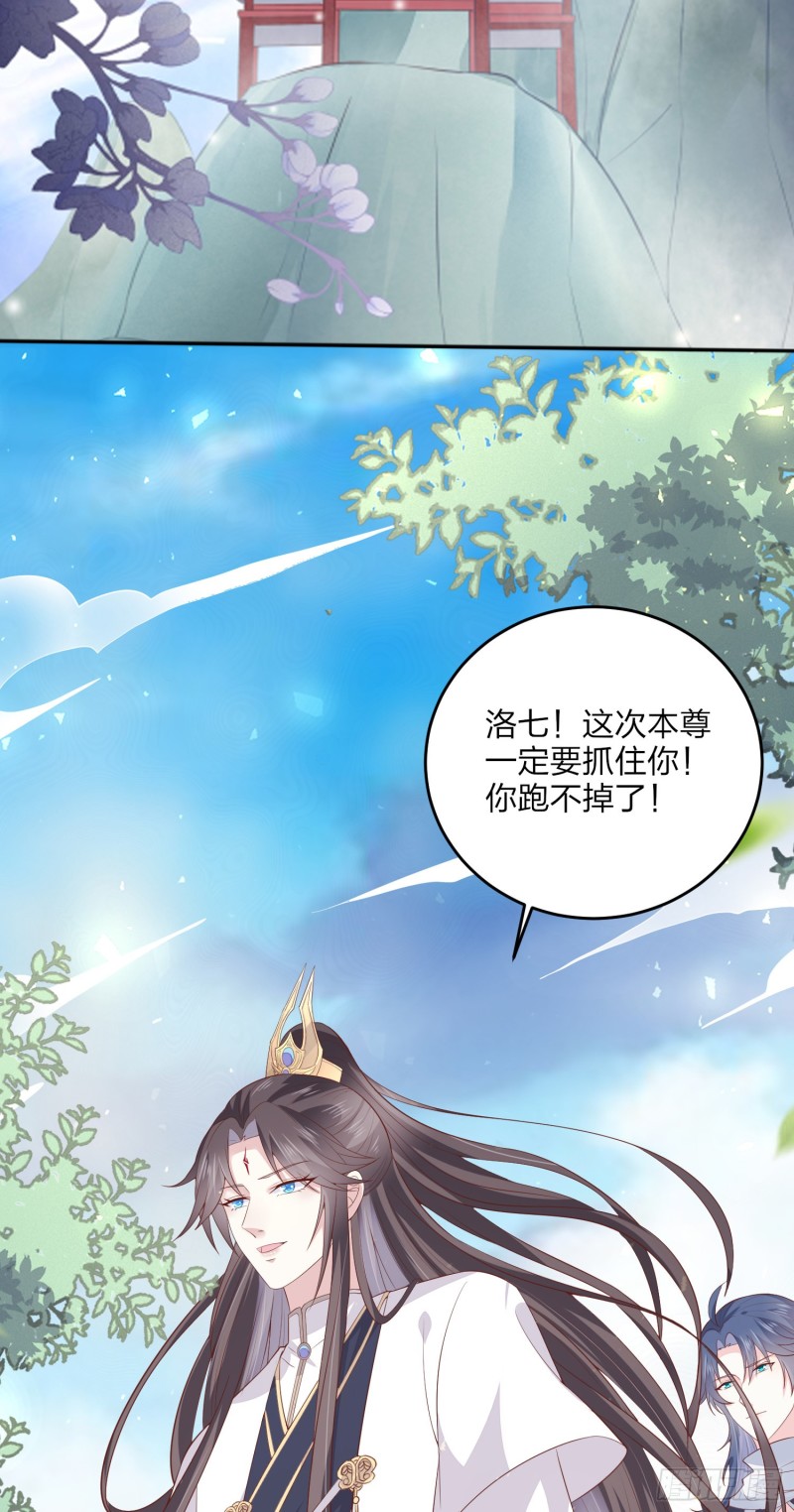 至尊瞳术师：绝世大小姐漫画,第一百六十四话 追妻2图