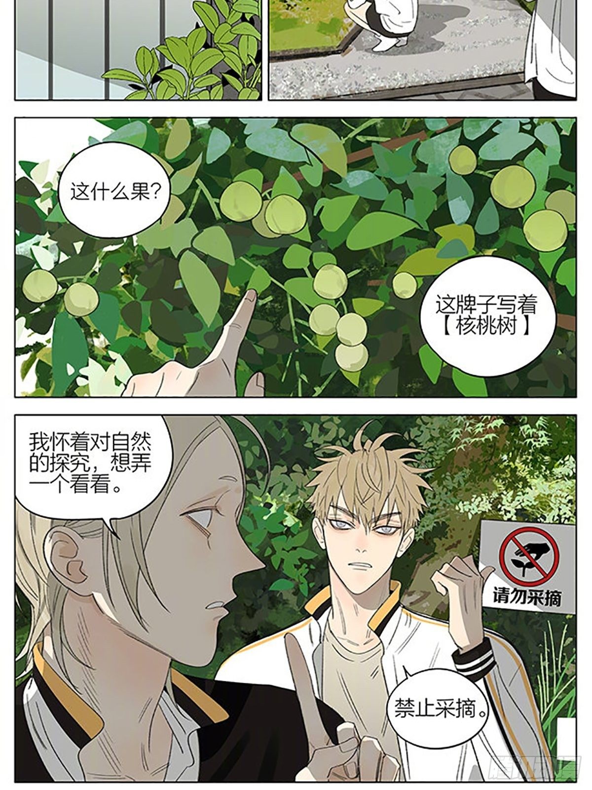 19天漫画,植物园2图