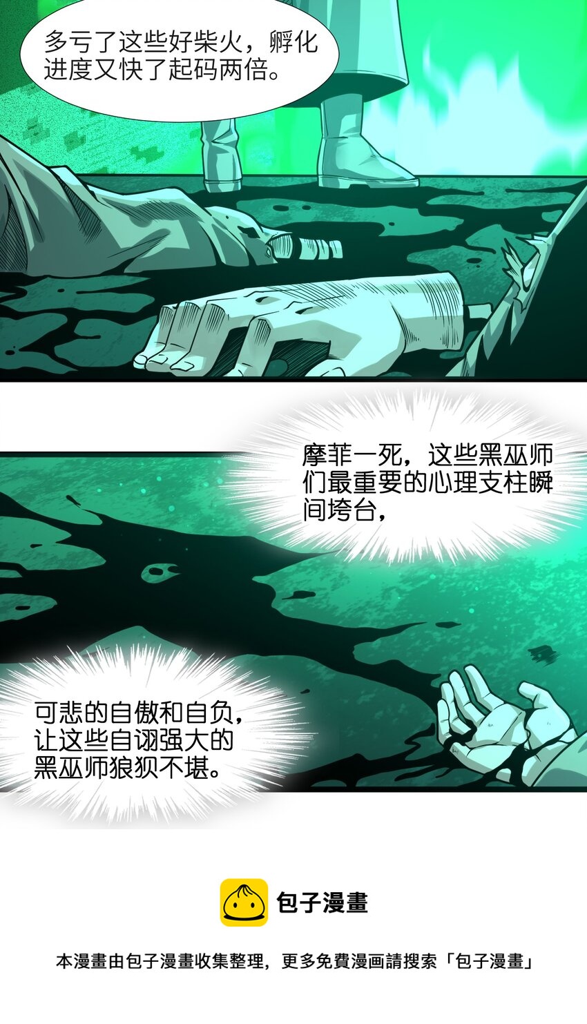 我真不是邪神走狗全文阅读免费漫画,046 好用的柴火1图