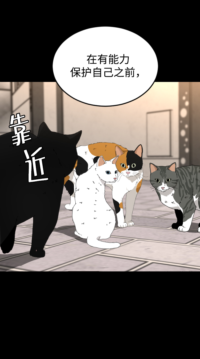 普通孩子上太原常青藤适应吗漫画,[第31话] 妈妈的遗言1图