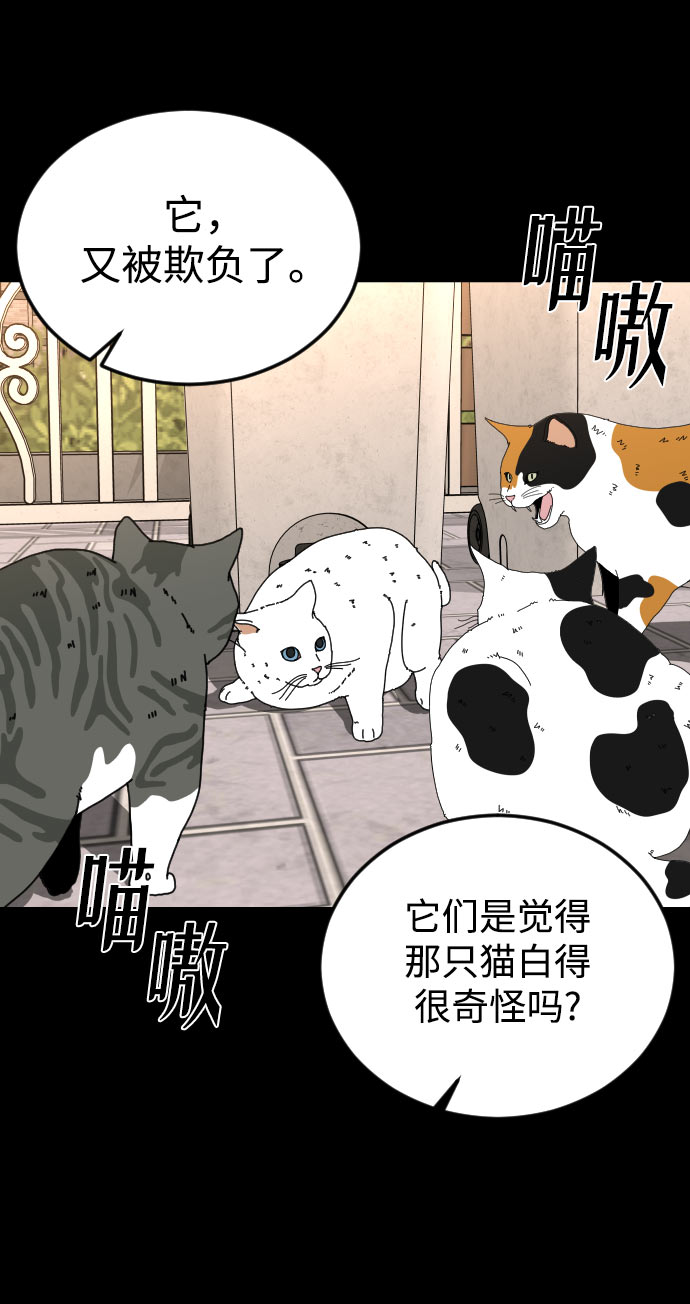 普通孩子将来可以做什么工作漫画,[第31话] 妈妈的遗言2图