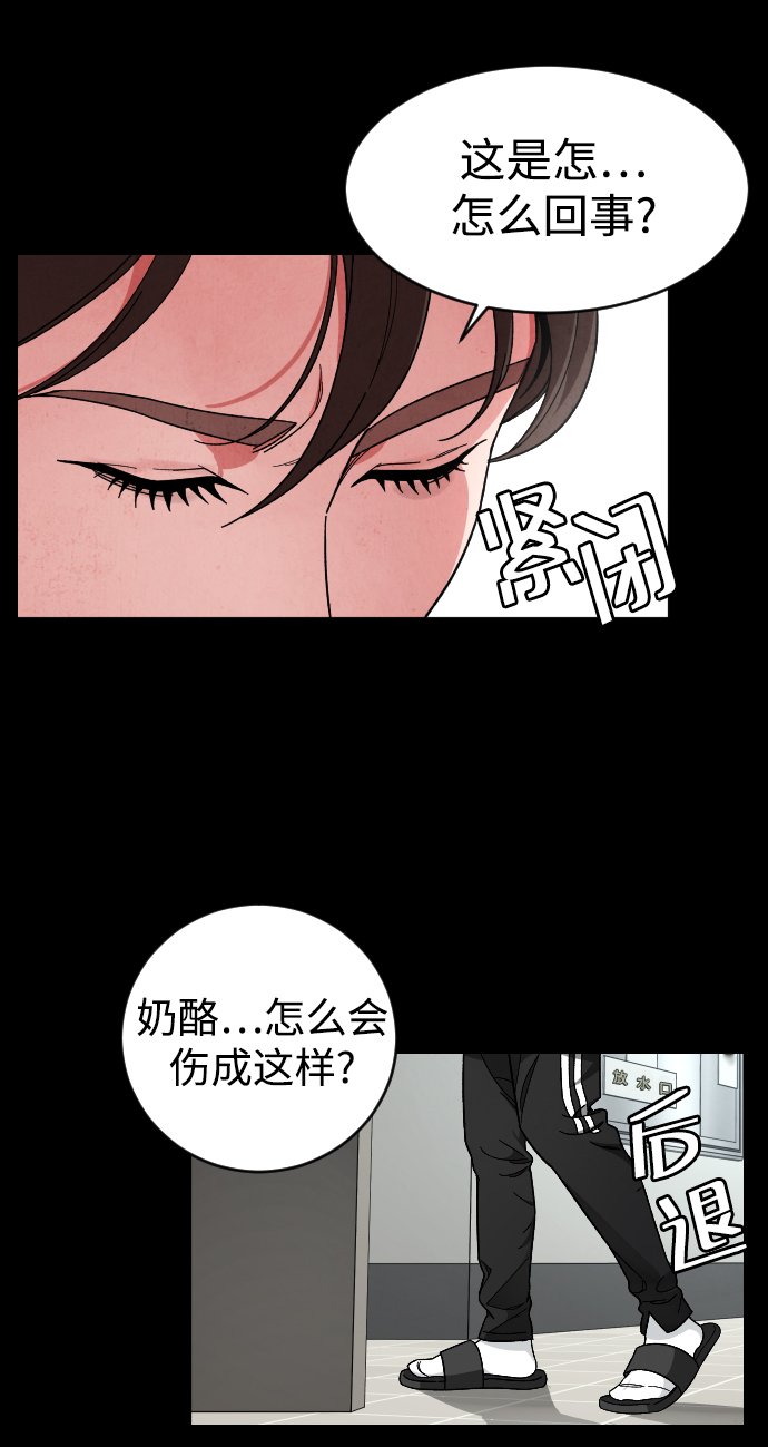 普通孩子将来可以做什么工作漫画,[第22话] 奶酪2图