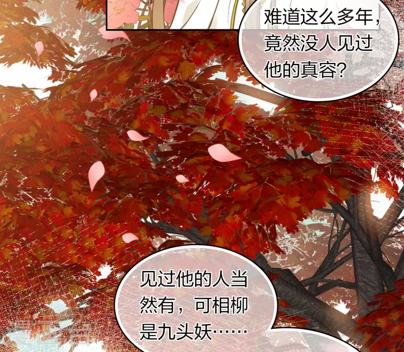 长相思漫画,第163话 庇佑2图