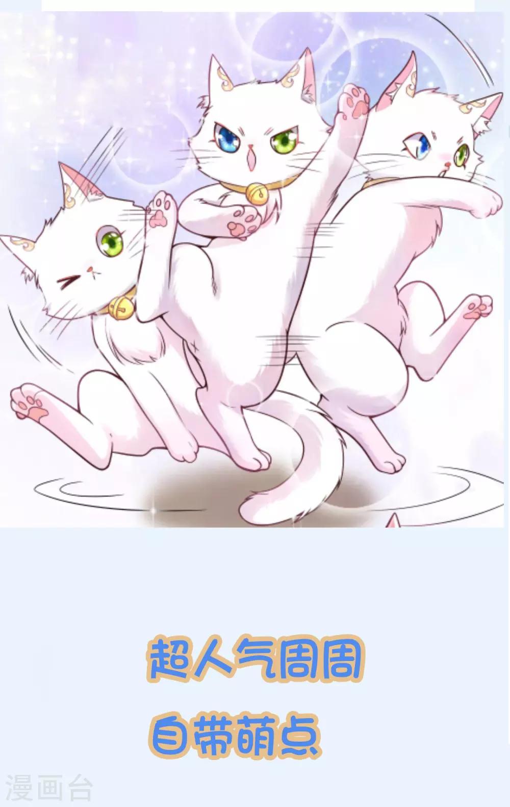 谐帝爲尊漫画,周周表情包 及福利活动2图