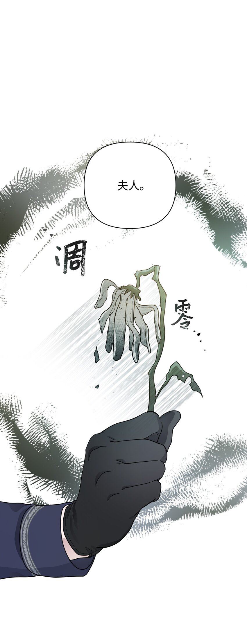 弄假成真！乞丐成了公爵的夫人漫画,07 来自前线的关心1图