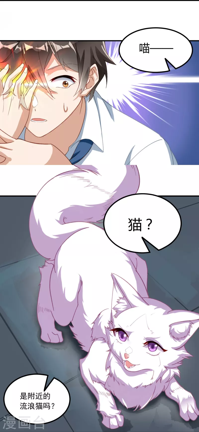 转世神王在都市漫画,第3话 捡到神秘猫1图