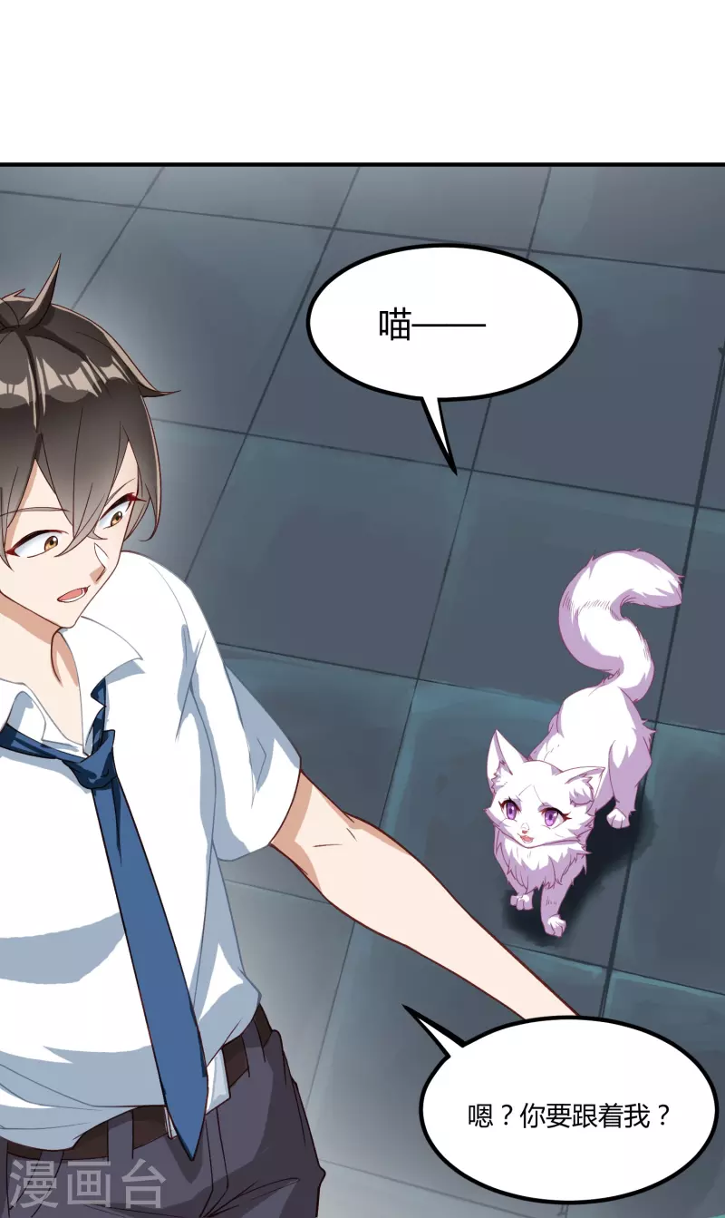 转世神王在都市漫画,第3话 捡到神秘猫1图