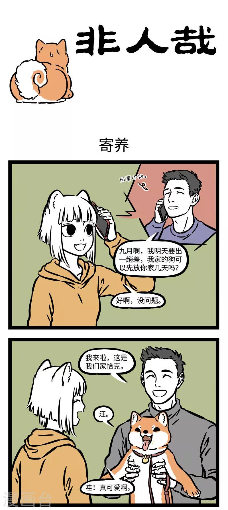 非人哉漫画漫画,第539话 老哥老哥告诉我，谁是世界上最帅的1图