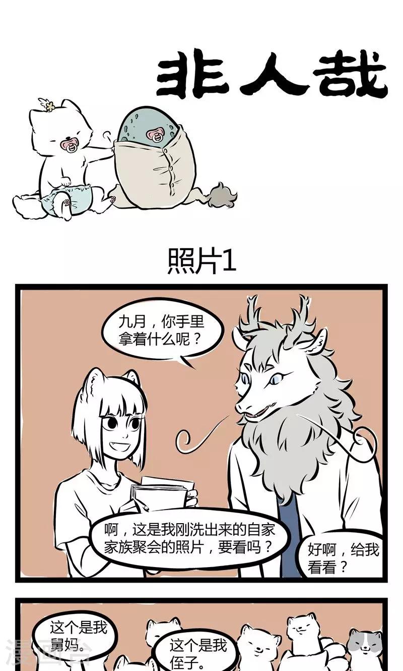 非人哉第一季全集免费观看完整版漫画,第147话 照片1图