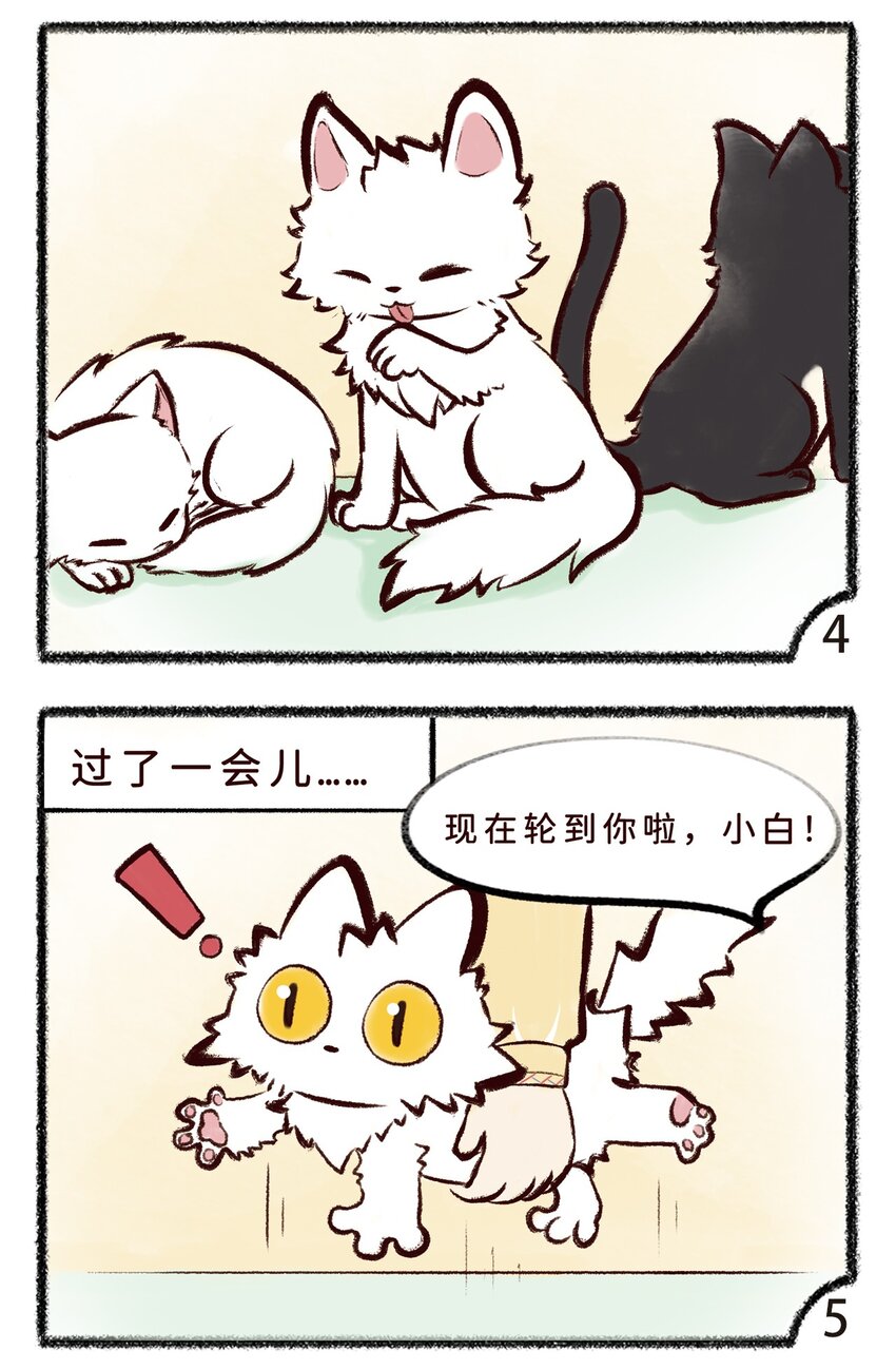 岁时令漫画,第十二话 小白or小黑2图