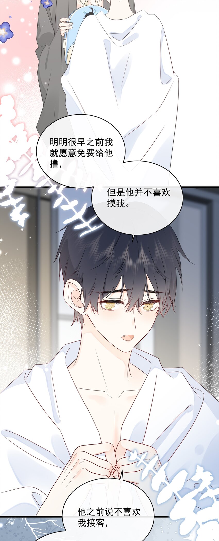 营养过良全文漫画,027 猫咪的圆桌会议2图