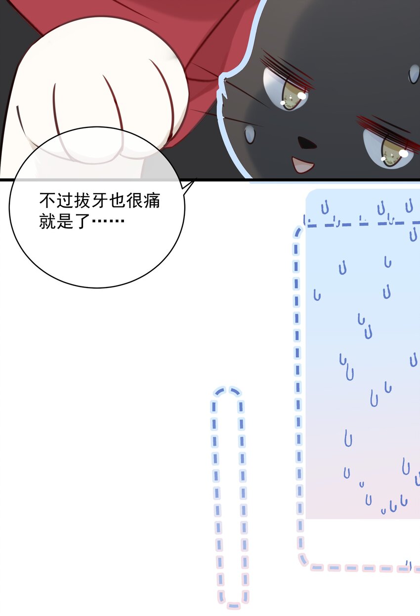 营养过良全文漫画,027 猫咪的圆桌会议1图
