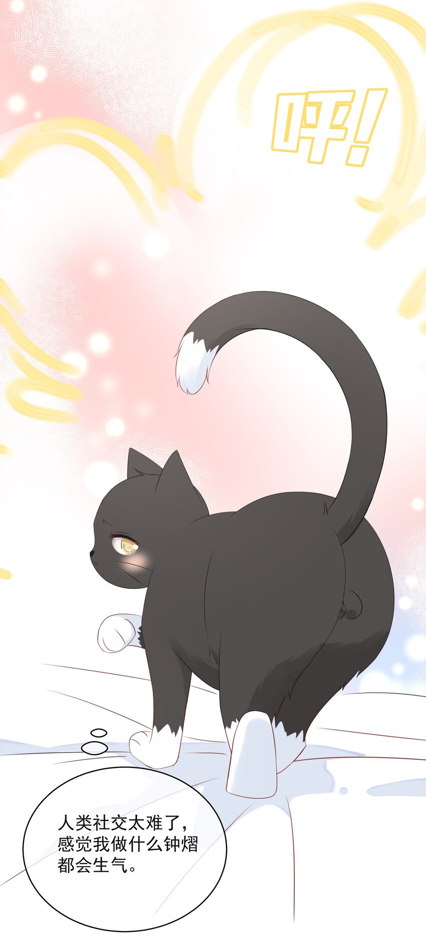 营养过良全文漫画,021 发现小黑猫1图