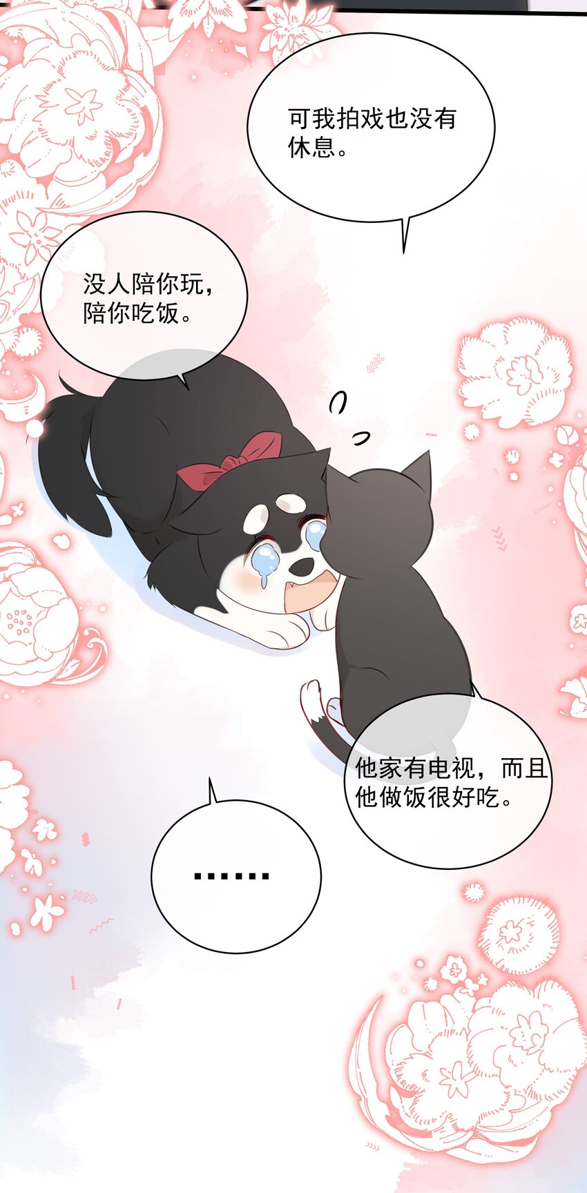 营养过良全文漫画,027 猫咪的圆桌会议1图