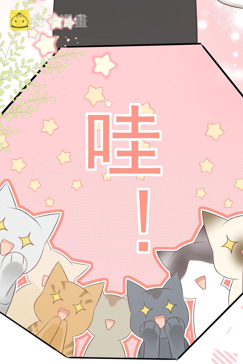 营养过良全文漫画,027 猫咪的圆桌会议1图