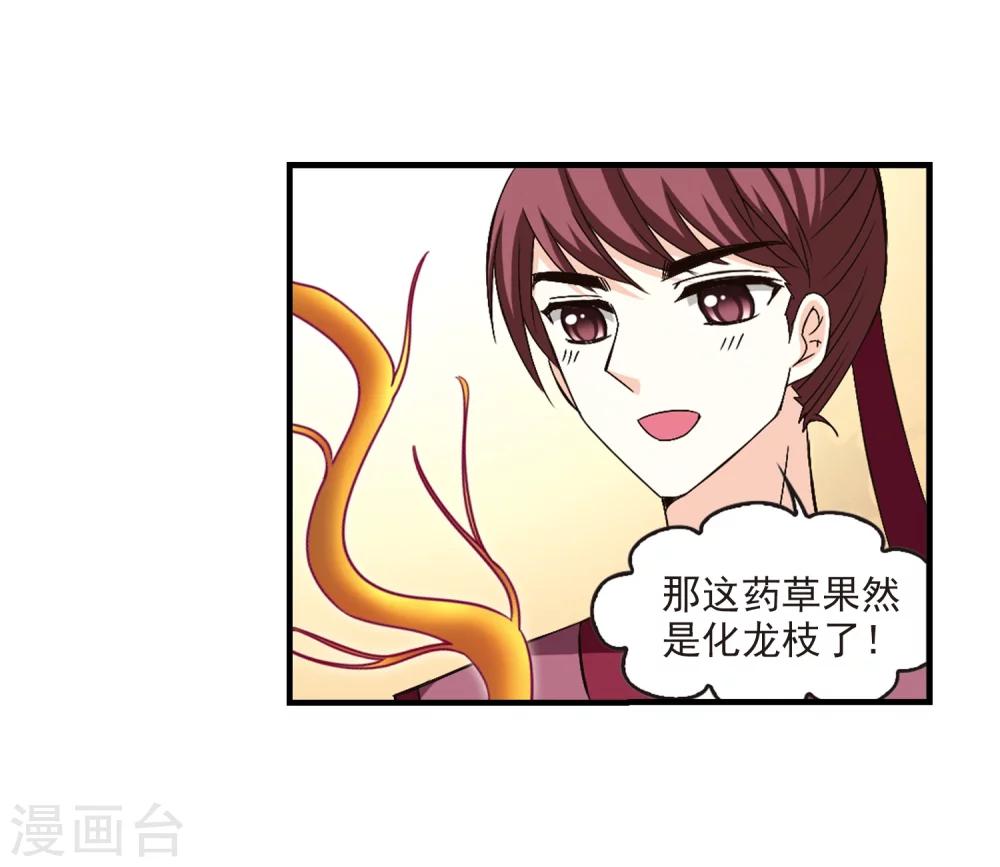 风起苍岚漫画全集免费阅读下拉式奇漫屋漫画,第165话 琅琊丹会2-11图