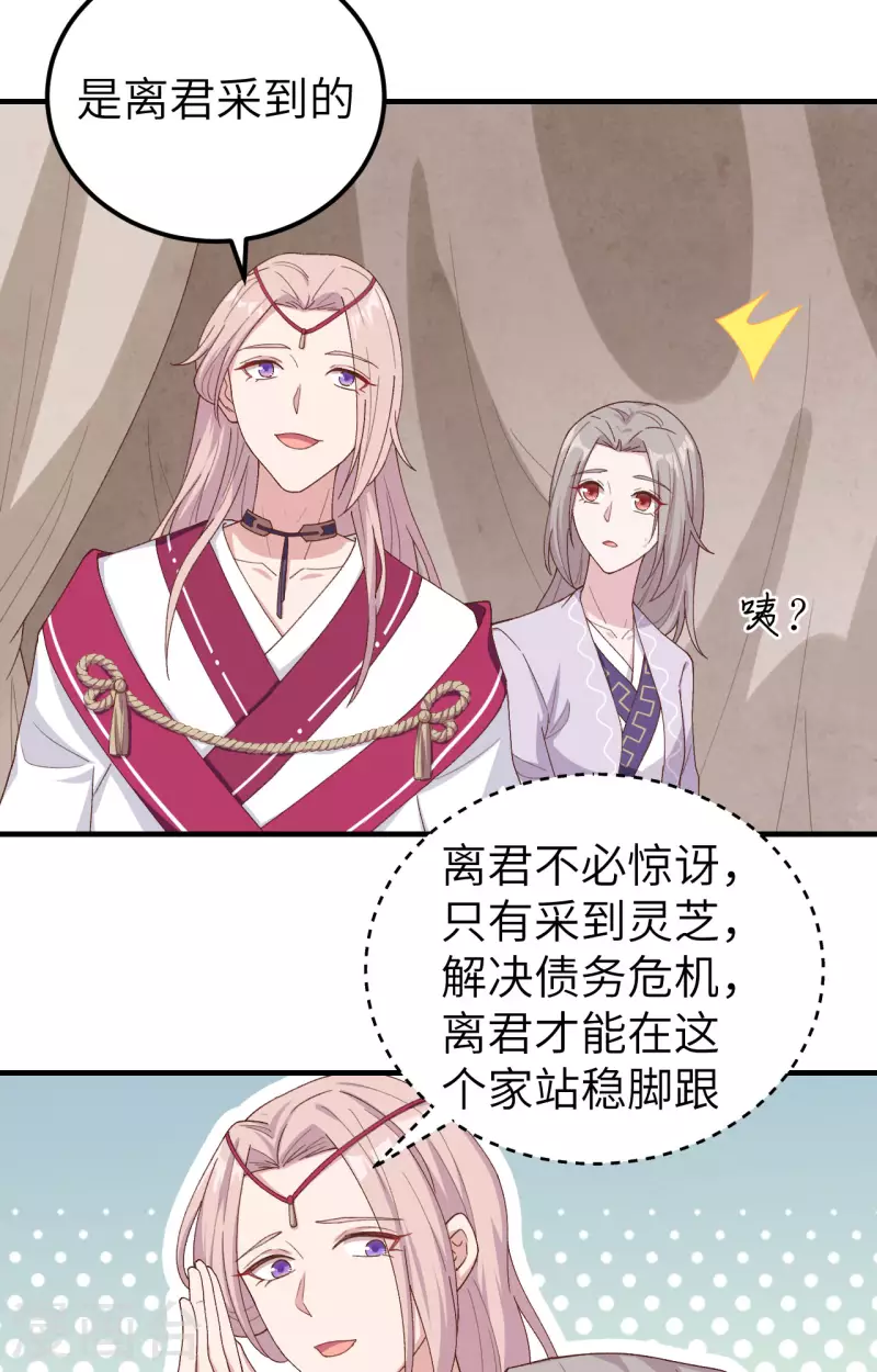开局四个美相公漫画免费下拉版漫画漫画,第12话1图