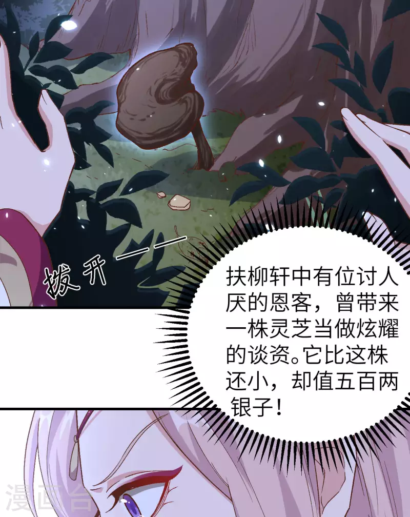 开局四个美相公漫画全集免费阅读下拉式漫画漫画,第11话1图