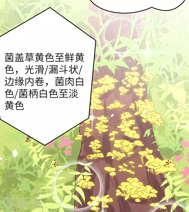 开局四个美相公漫画免费下拉版漫画漫画,第4话1图