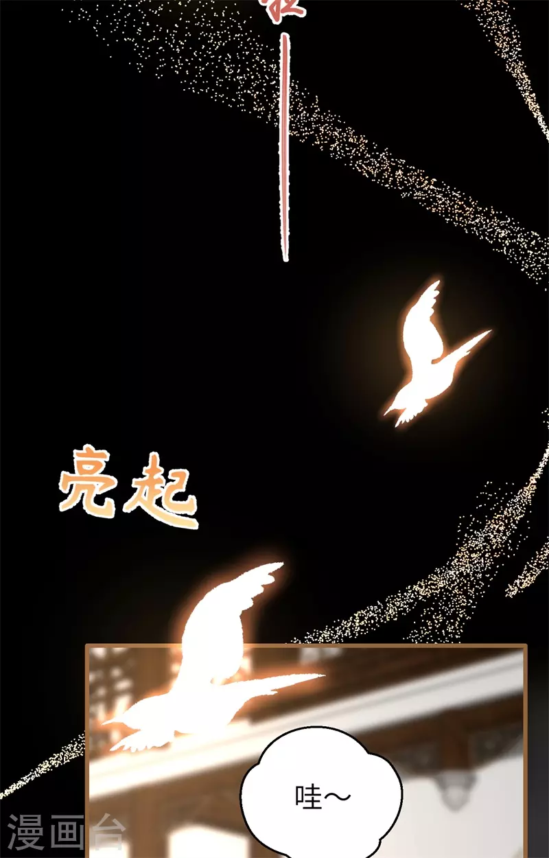 开局四个美相公漫画免费下拉版漫画漫画,第67话1图