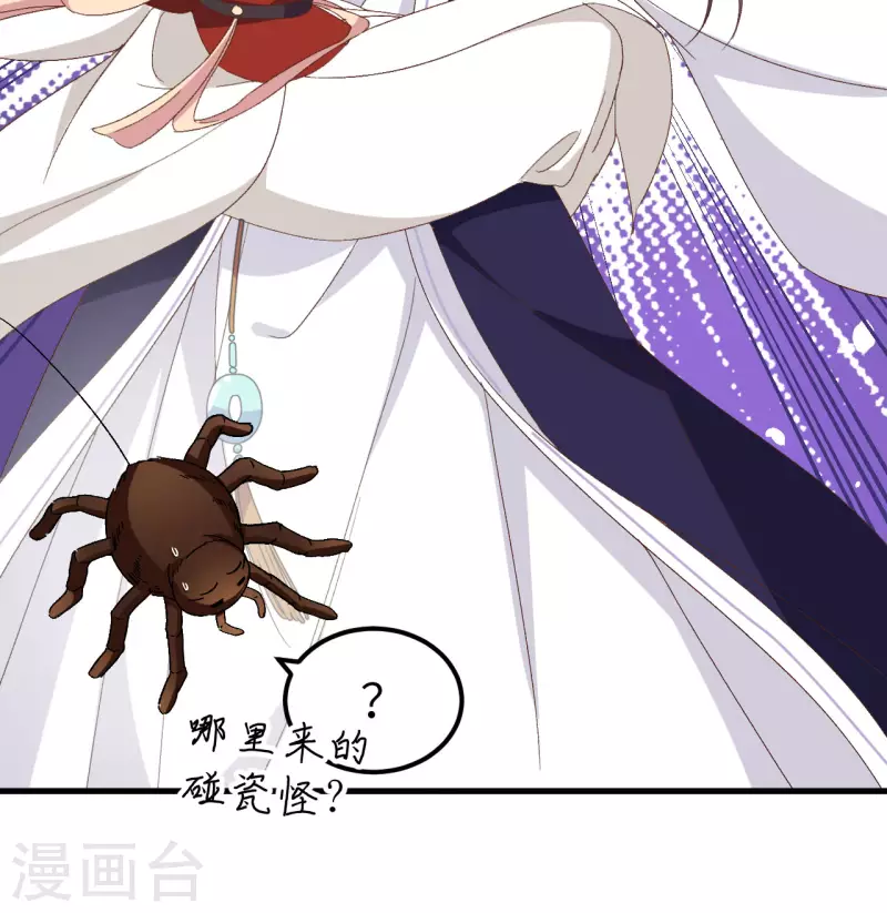 开局四个美相公漫画免费下拉版漫画漫画,第56话1图