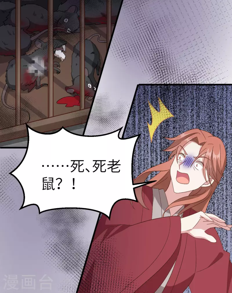 开局四个美相公漫画全集免费阅读下拉式漫画漫画,第63话1图