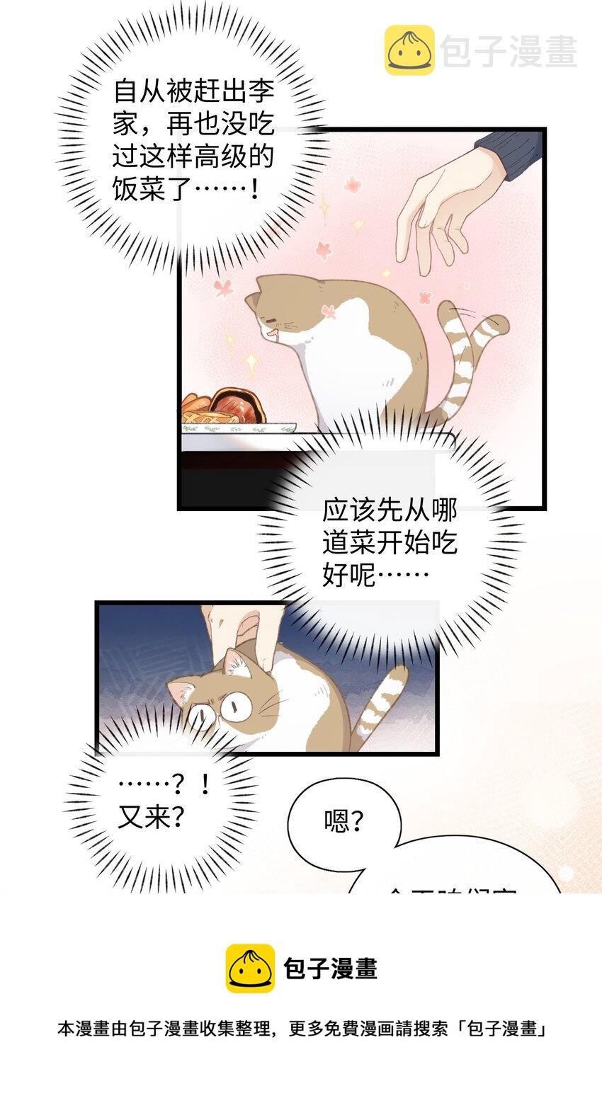 加菲猫复仇记漫画免费阅读下拉式漫画,005 猫猫回家乐1图