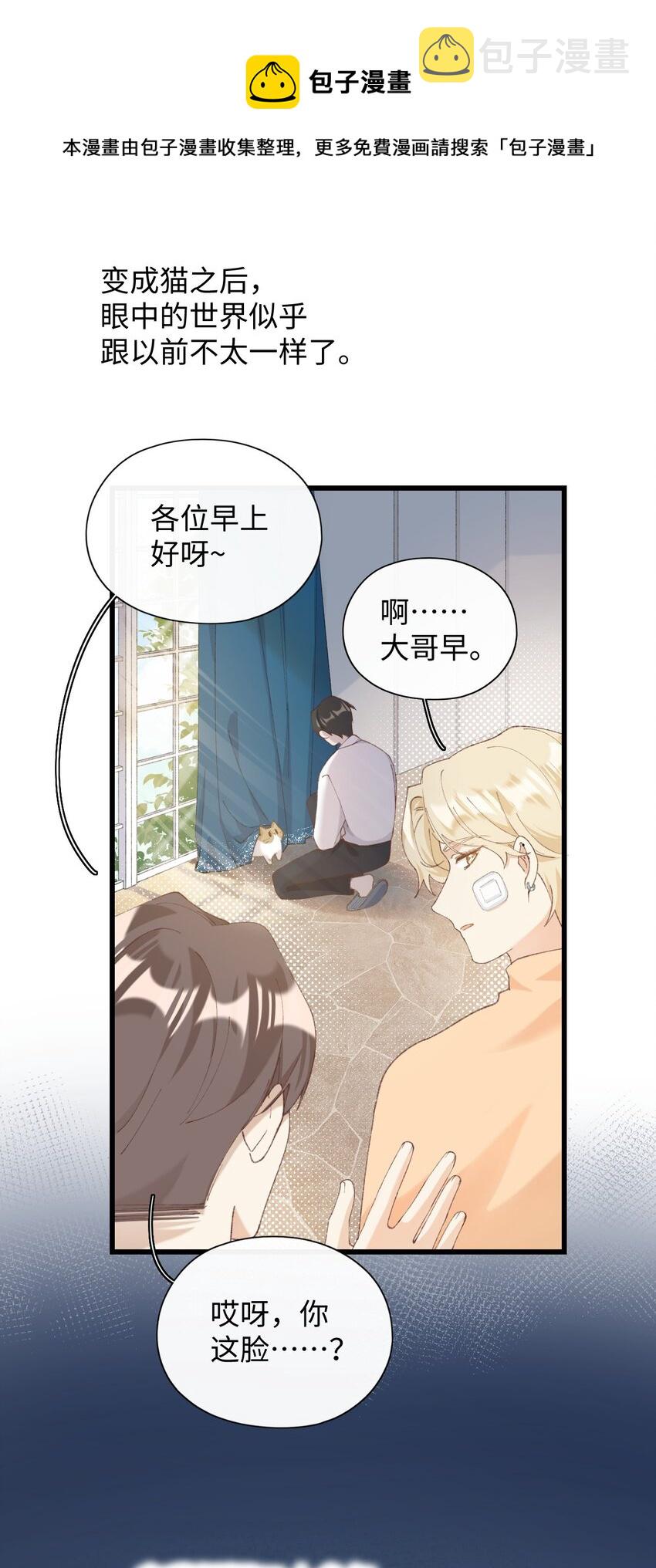 加菲猫复仇记漫画免费阅读下拉式漫画,007 这蛋黄温暖如春1图