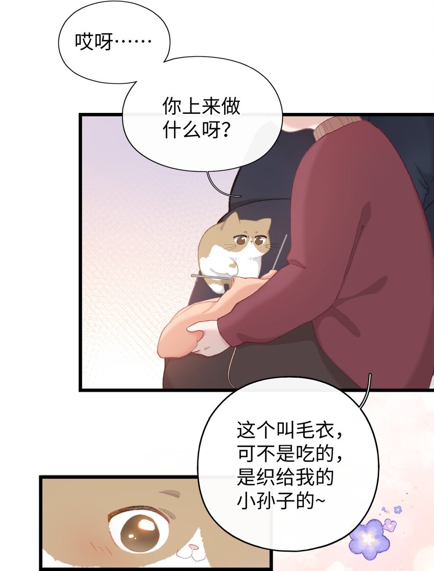 加菲猫复仇记漫画免费阅读下拉式漫画,005 猫猫回家乐2图