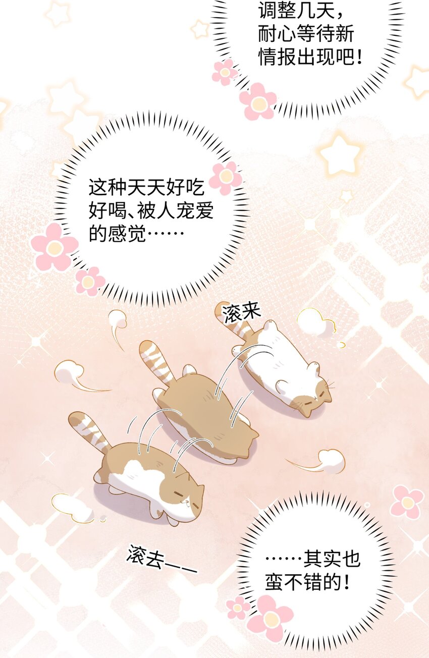 加菲猫复仇记漫画免费阅读下拉式漫画,023 他们在说什麽……？1图