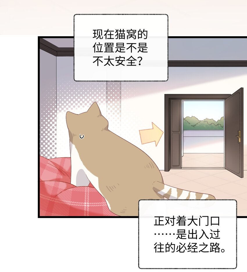 加菲猫复仇记漫画,008 白白胖胖，充满希望2图