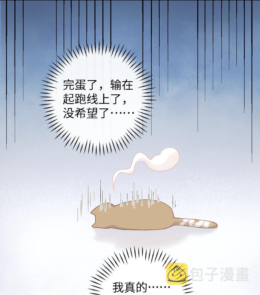 加菲猫复仇记第一季全集漫画,001 充满智慧的小猫咪2图