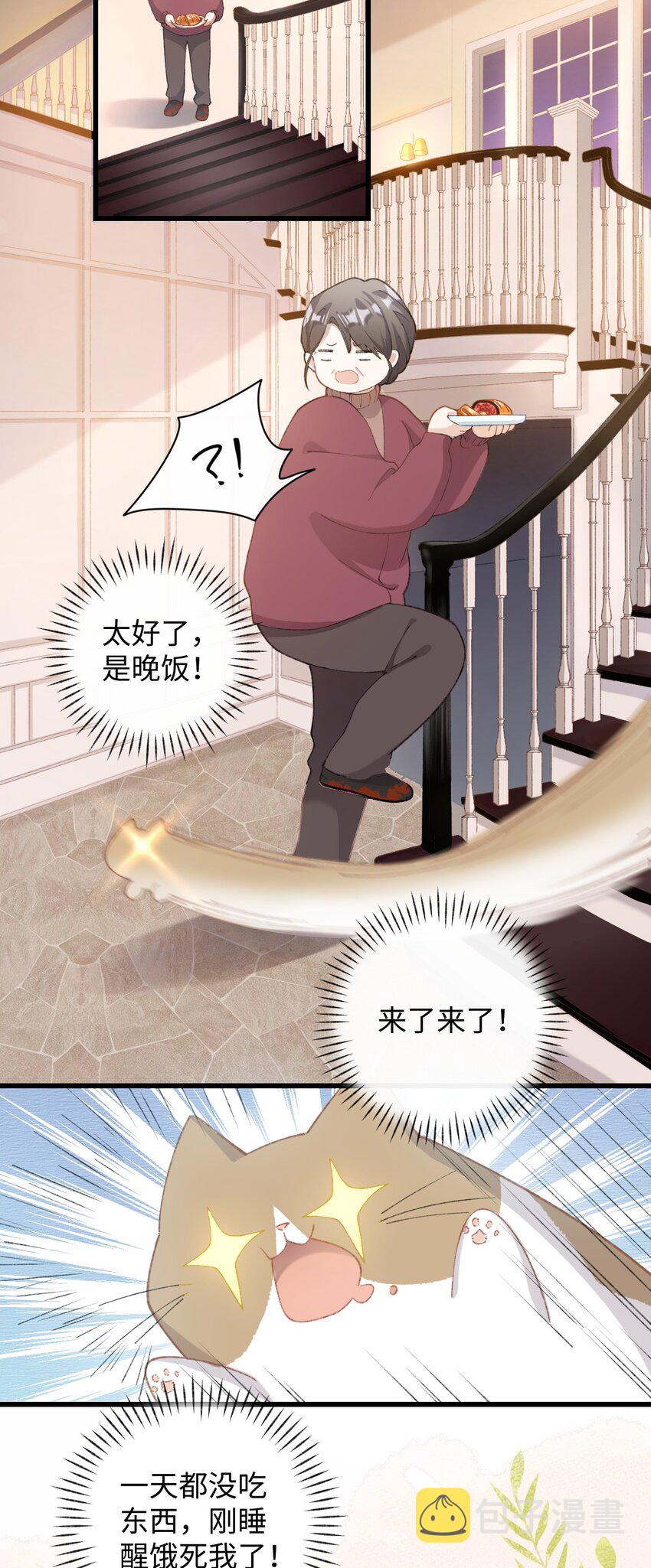 加菲猫复仇记漫画免费阅读下拉式漫画,005 猫猫回家乐1图
