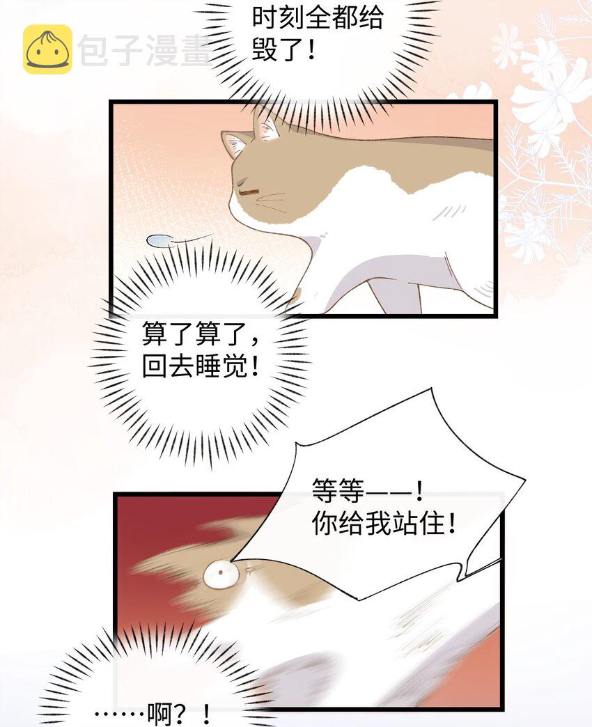 加菲猫复仇记漫画免费阅读下拉式漫画,005 猫猫回家乐2图