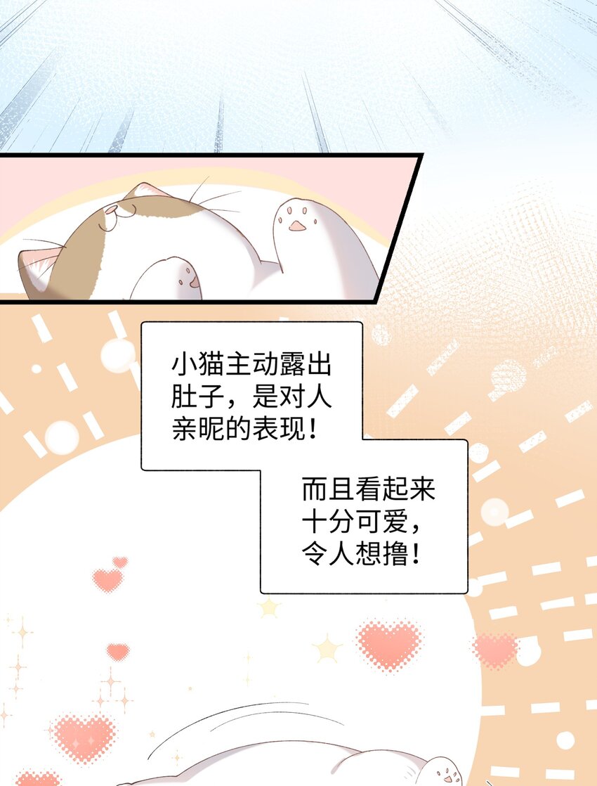 加菲猫复仇记漫画免费阅读下拉式漫画,021 看看我鸭！1图