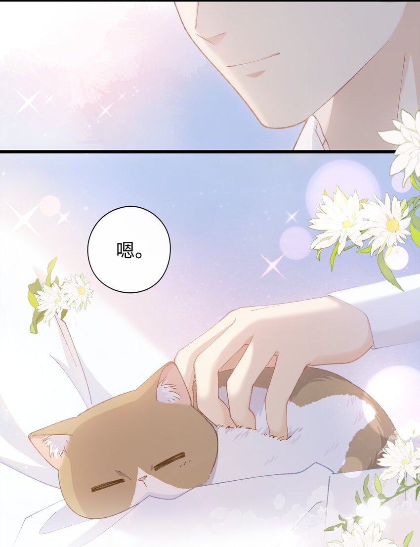 加菲猫复仇记第一季全集漫画,007 这蛋黄温暖如春2图