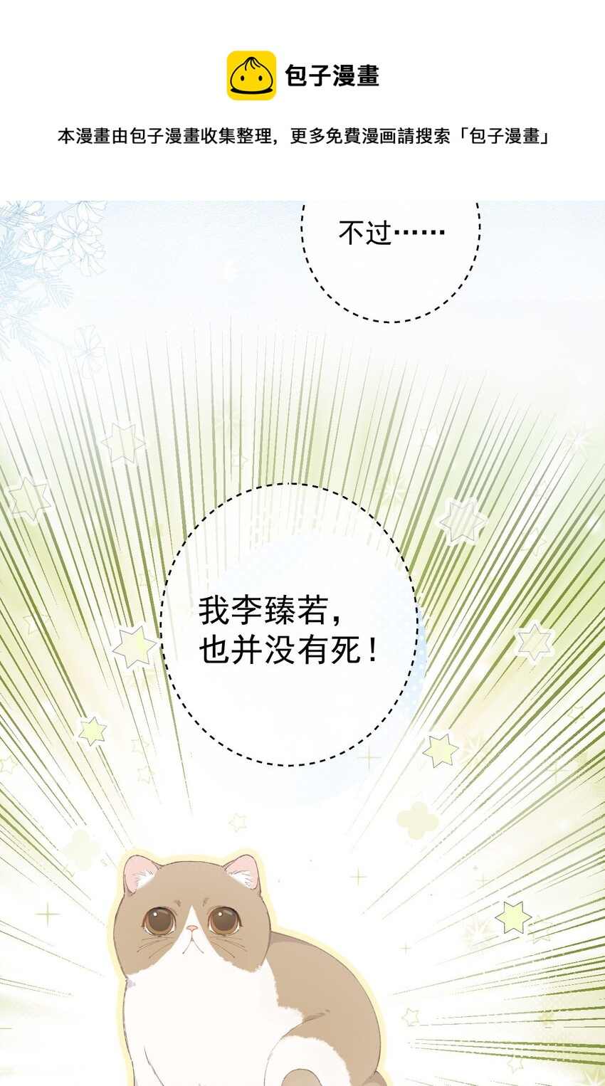 加菲猫复仇记第一季全集漫画,001 充满智慧的小猫咪1图