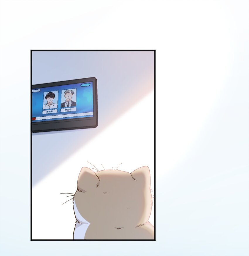 加菲猫复仇记第一季全集漫画,001 充满智慧的小猫咪1图
