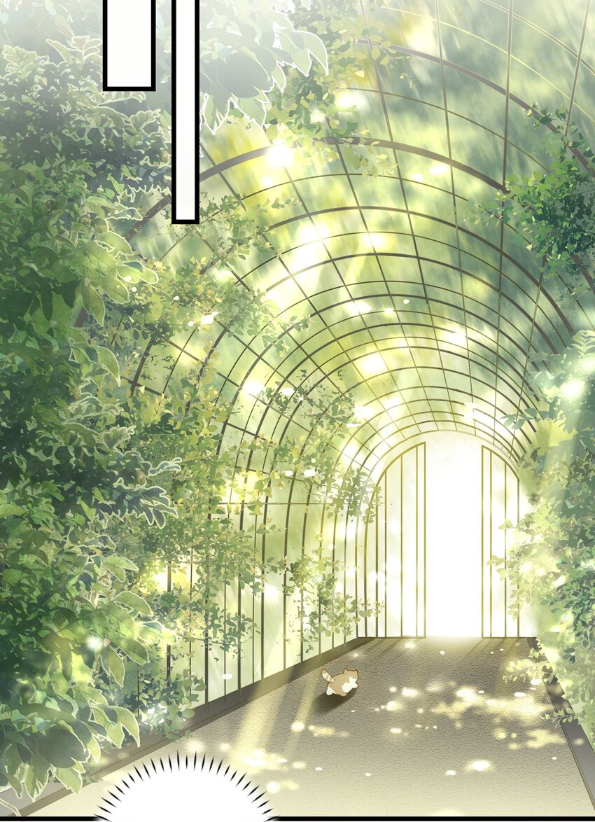 加菲猫复仇记第一季全集漫画,015 原则喂了小鱼乾2图