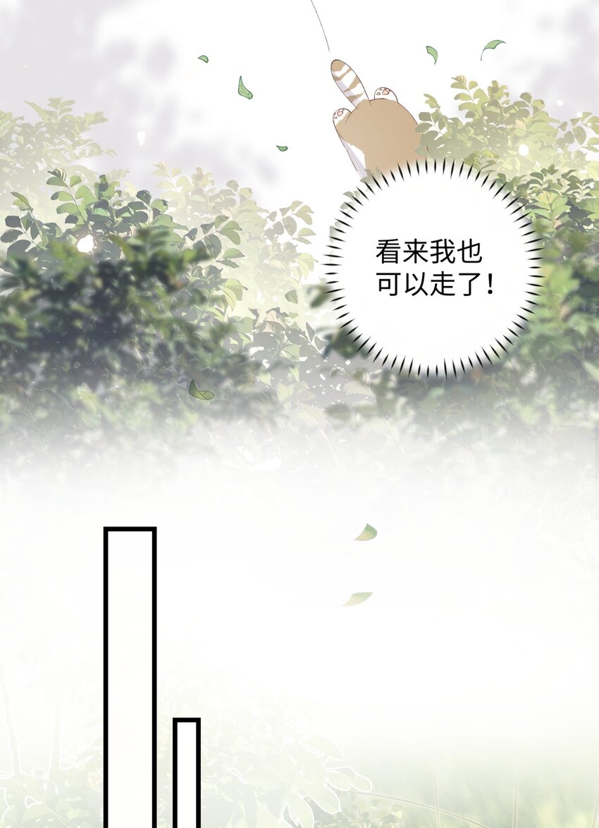 加菲猫复仇记第一季全集漫画,015 原则喂了小鱼乾1图
